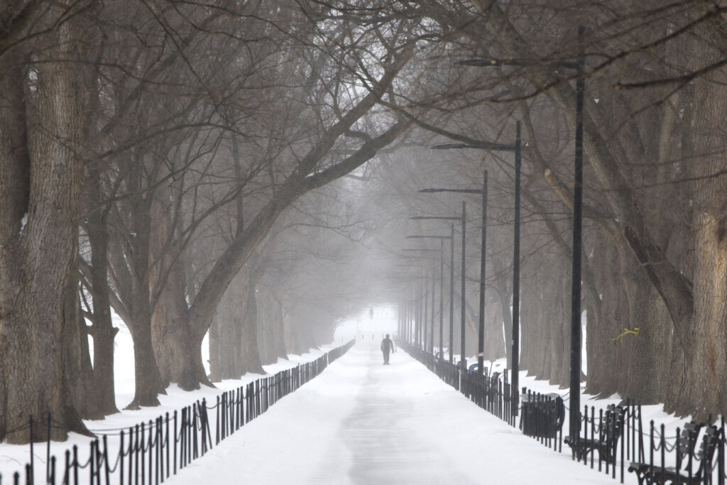 A man walks along a path as snow falls in Washington, DC, on January 25, 2026. A massive winter storm on January 24 dumped snow and freezing rain from New Mexico to North Carolina as it swept across the United States towards the northeast, threatening tens of millions of Americans with blackouts, transportation chaos and bone-chilling cold. After battering the country's southwest and central areas, the storm system began to hit the heavily populated mid-Atlantic and northeastern states as a frigid air mass settled in across the nation. (Photo by Amid FARAHI/AFP via Getty Images)