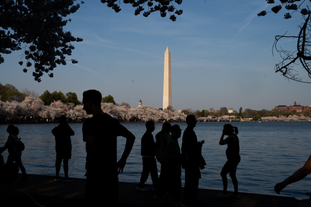 Visitors walk along the tidal basin to enjoy the cherry blossom trees during peak bloom on Thursday, March 26, 2026, in Washington. (AP Photo/Allison Robbert)