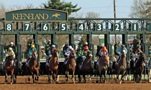 Horses break from the gate to start the 91st running of the Blue Grass Stakes horse race