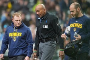 Rays Brewers Baseball