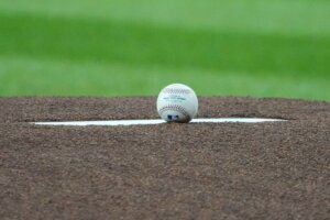 Tigers Diamondbacks Baseball