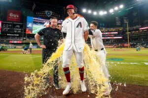 Tigers Diamondbacks Baseball