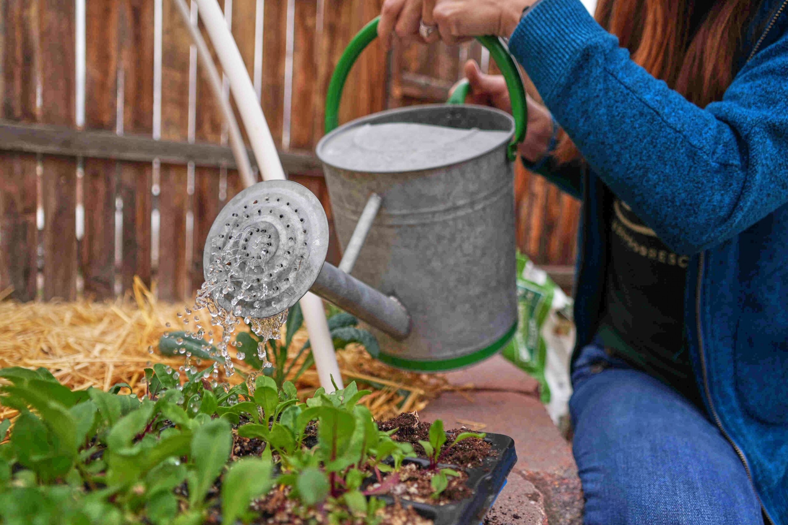 Gardening Debunking Myths